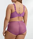 Elomi EL4388 Charley Full Brief - Pansy - Allure Intimate Apparel