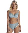 Fantasie Illusion Side Support Bra in Willow (Full Sets) FL2982
