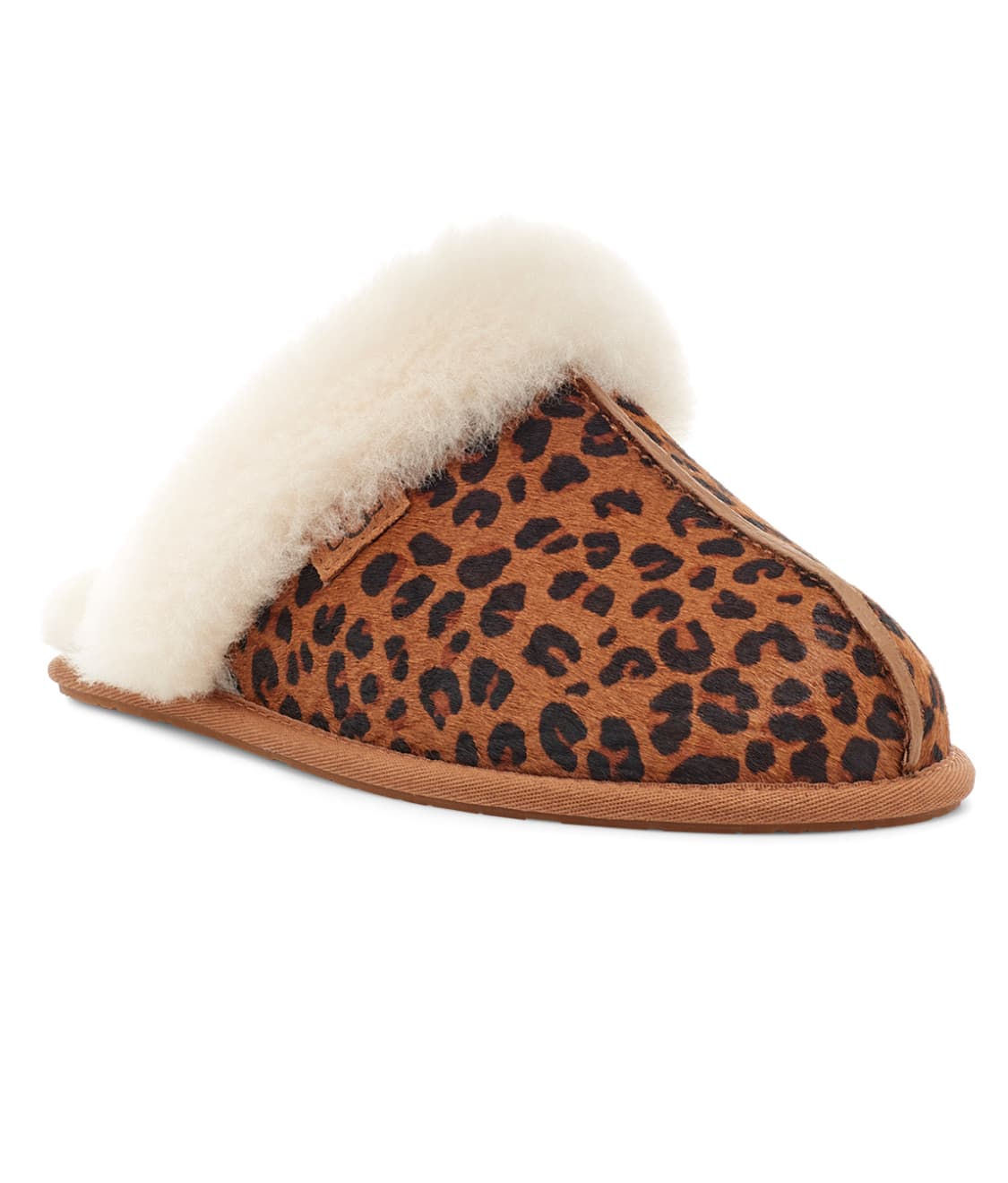 Coquette leopard online